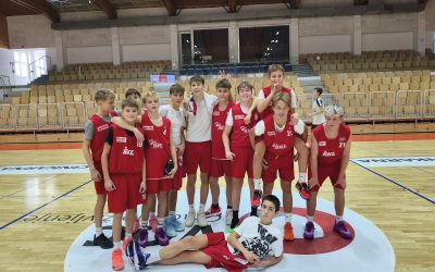 Področno prvenstvo v košarki