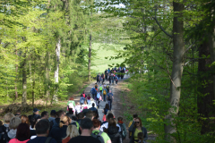 DSC_0032