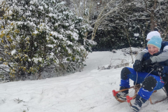 viber_image_2026-01-06_16-45-59-369